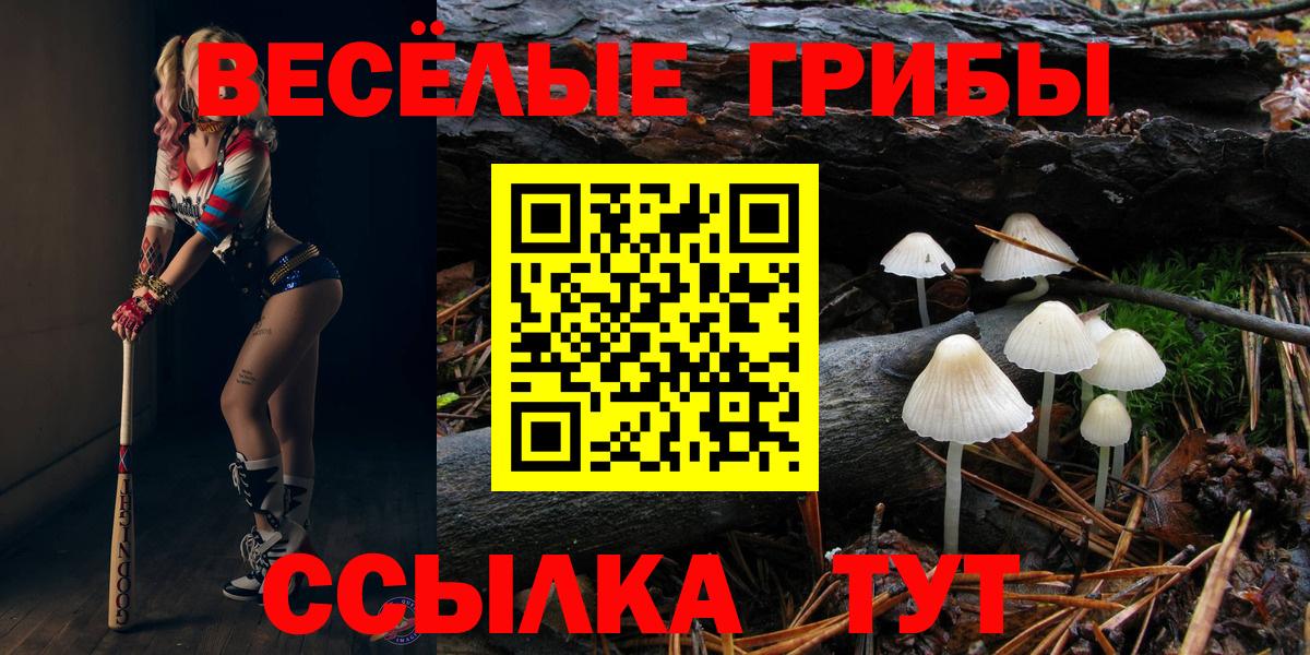 Галлюциногенные грибы Cubensis Урус-Мартан